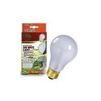 Zilla - Day White Light Incandescent Bulb Online