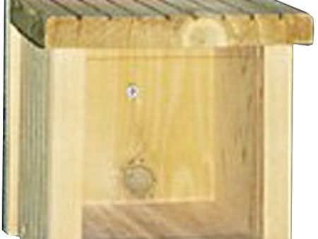 Audubon woodlink - Munch Box Squirrel Feeder Online now