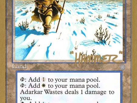 Adarkar Wastes (Shawn  Hammer  Regnier) [Pro Tour Collector Set] Hot on Sale