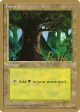 Forest (pp377) (Preston Poulter) [Pro Tour Collector Set] Supply